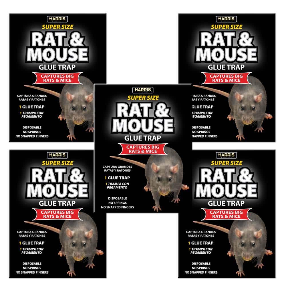 Strong & Sticky Mouse Trap Indoor Outdoor Glue Traps 21 x 14 cm