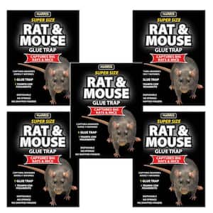 Rat and Mouse Glue Trap Super-Size (5-Pack)