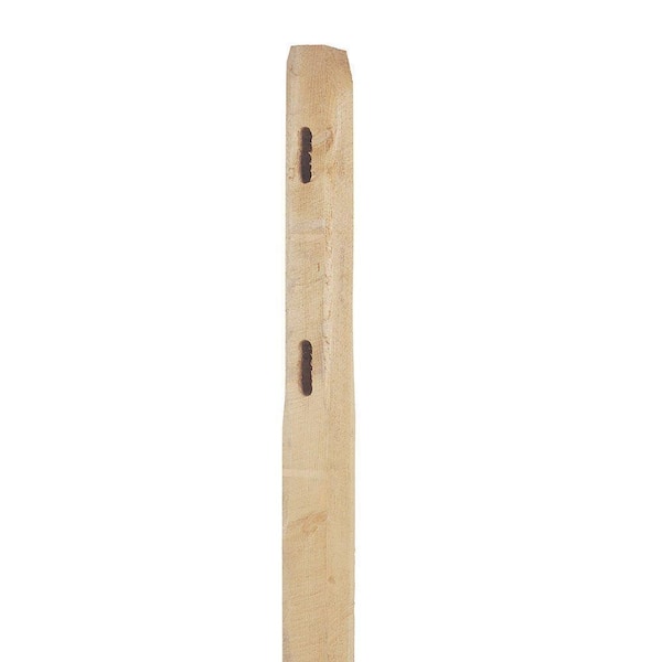 Unbranded 4 in. x 4 in. x 5-1/3 ft. Pressure-Treated Pine 2-Hole Fence End Post