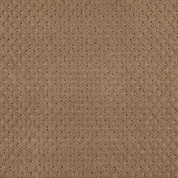 Lilypad - Worn Leather Indoor Pattern Brown Carpet