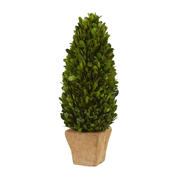 Nearly Natural 16 in. Green Artificial Boxwood Cone Preserved Plant in Planter
