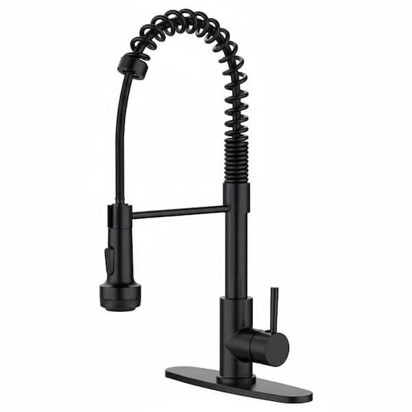 Terence Single-Handle Pull Down Sprayer Kitchen Faucet in Matte Black