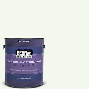 1 gal. #GR-W05 Unwind Ceiling Flat Interior Paint with Primer