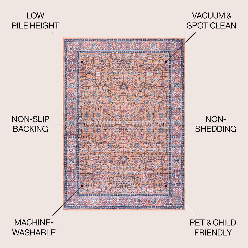 Kemer Multi-Color Persian Washable Synthetic Area Rug
