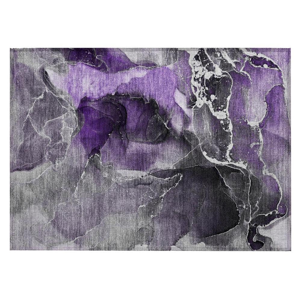 Gray and Purple 2 ft. x 3 ft. Abstract Indoor/Outdoor Area Rug price history on PriceWatchPro