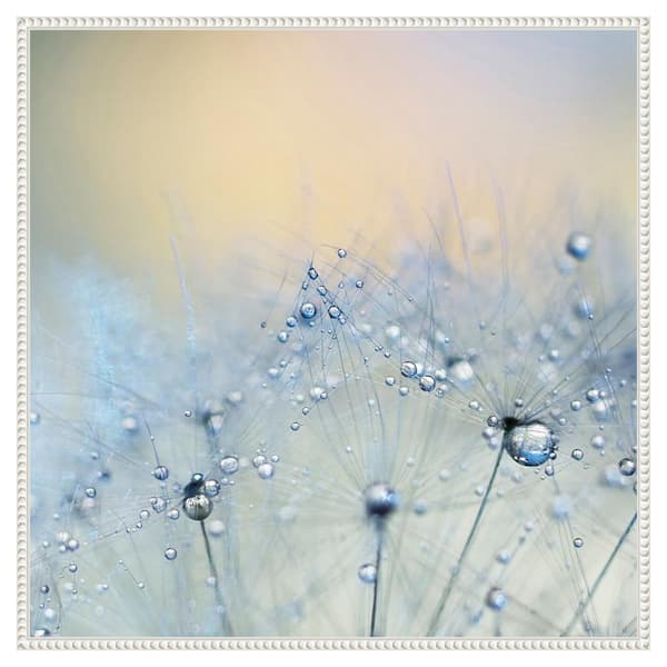 Amanti Art Ice blue by Ingrid Beddoes 30 in. W x 30 in. H. Canvas Wall Art Print Framed in White