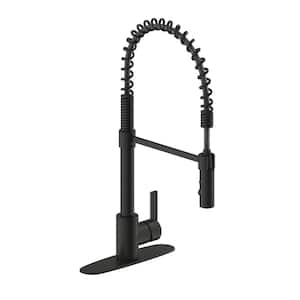 Palais Royal Single Handle 1 or 3 Hole Pull-Out Sprayer Kitchen Spring Coil Faucet in Matte Black