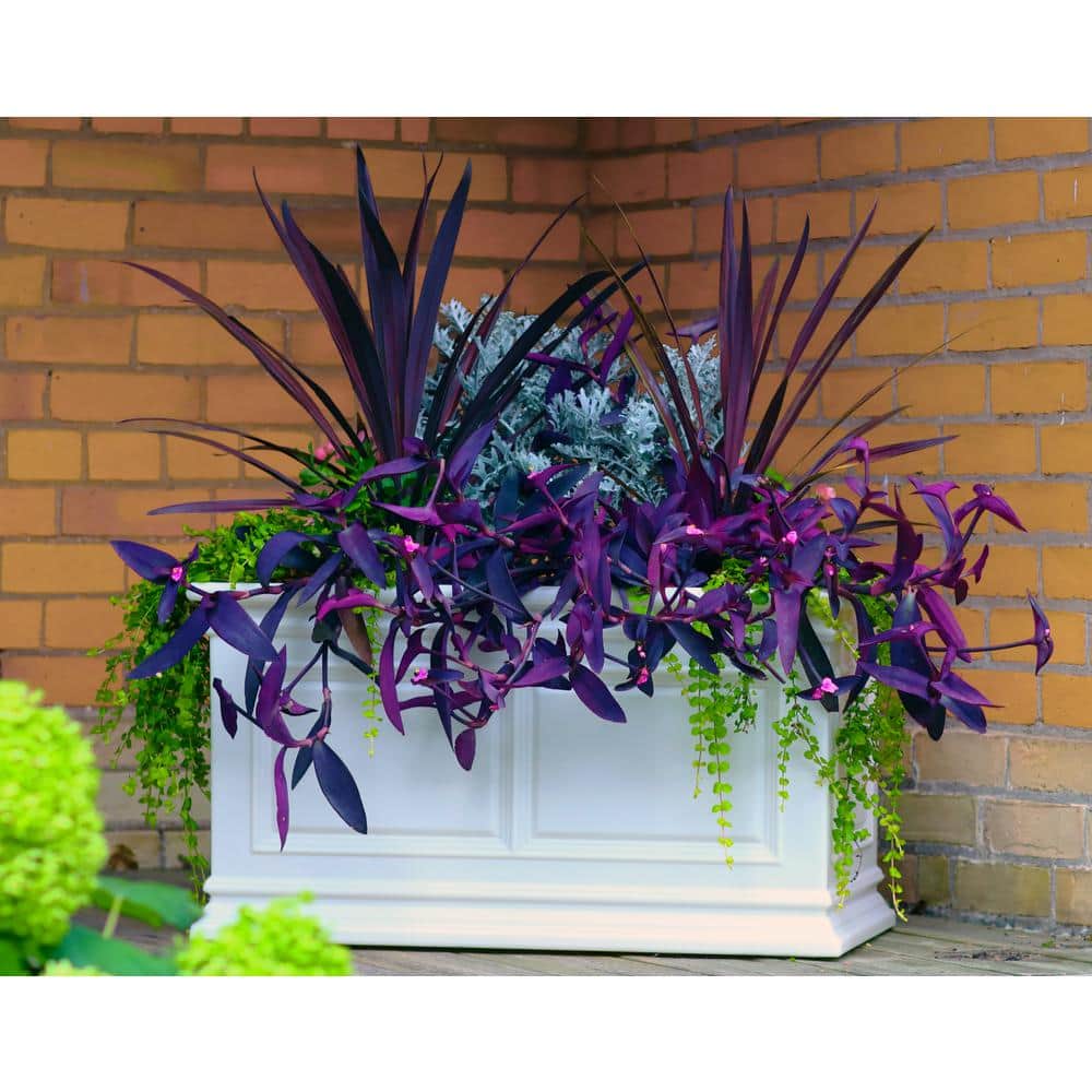 White Large Rectangular Self-Watering Outdoor Planter Box