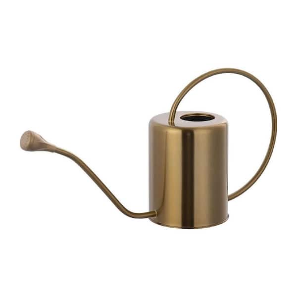 1 gal. Gold Steel Long Spout Stainless Colored Watering Can for Indoor Plant Watering