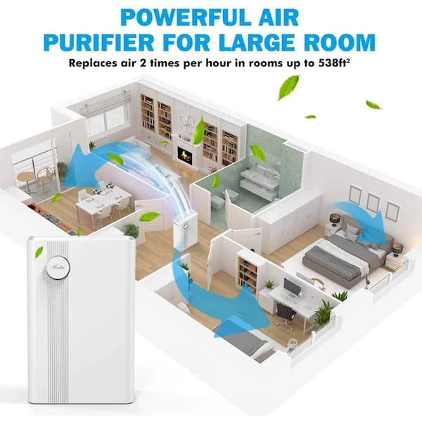 Best way to use deals an air purifier