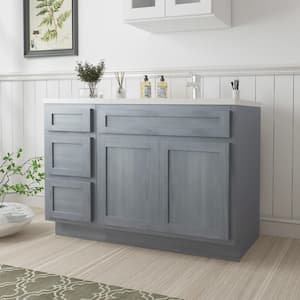 51 in. W x 21 in. D x 32.5 in. H Bath Vanity Cabinet without Top in Silver