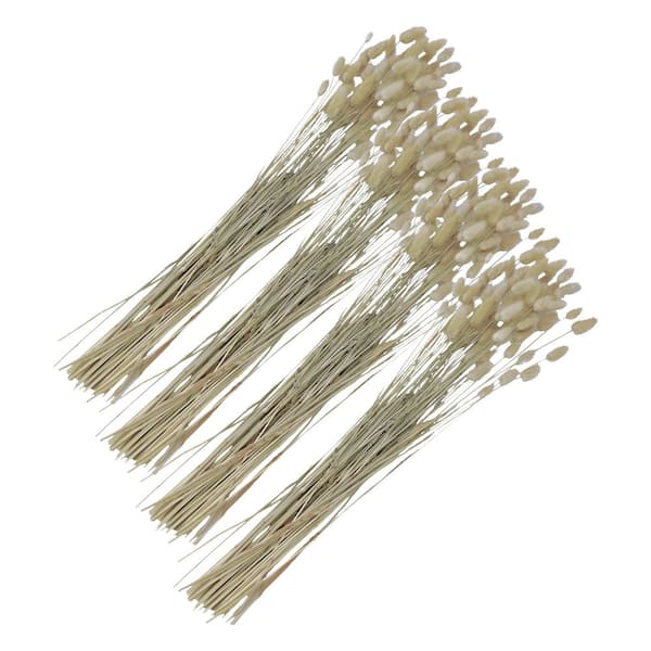 23 in. Off White Indoor Non Artificial Dried Bunny Tails Grass Pack of 4