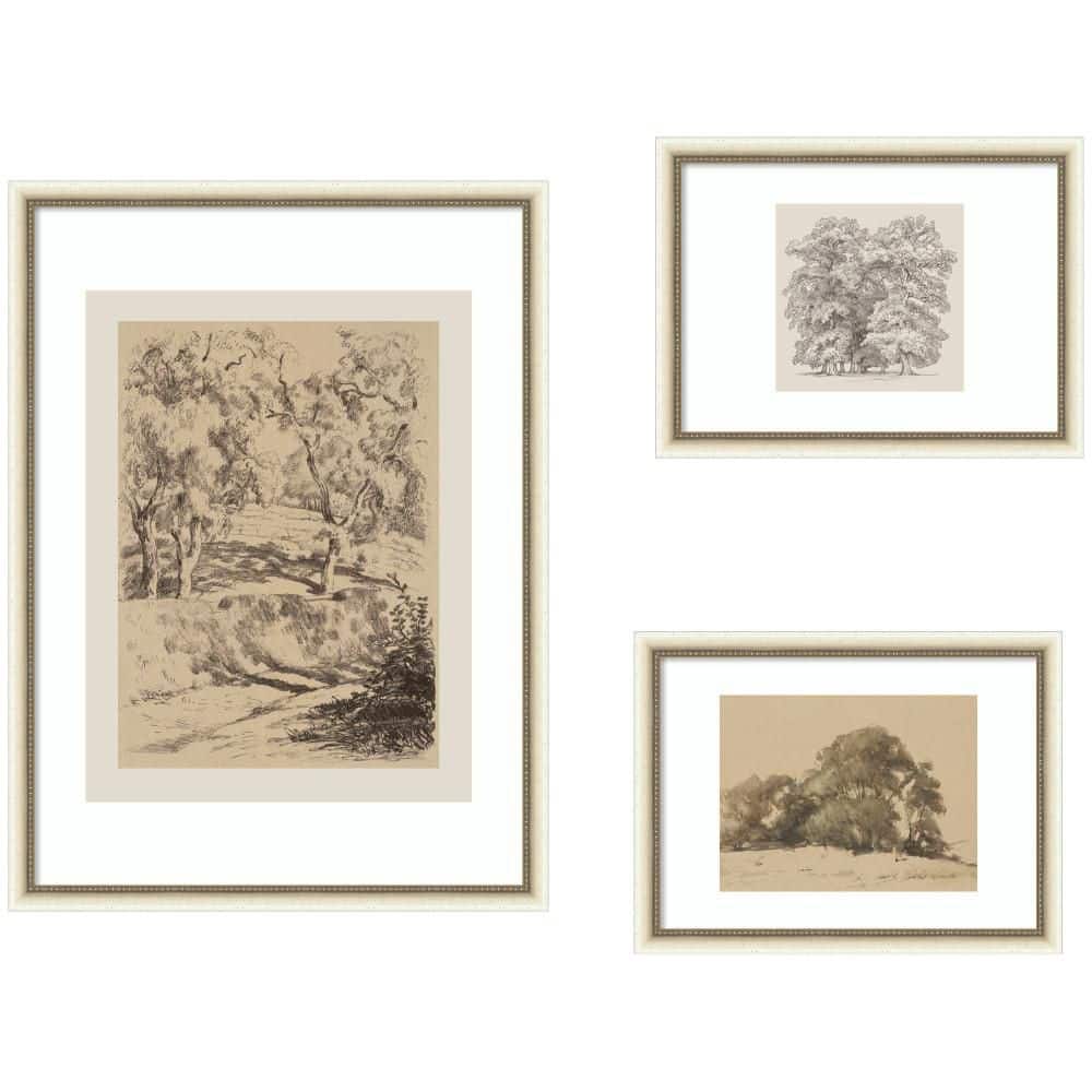 "3-Piece Belmont ""Sketches of Nature"" by Nostalgia Prints Trees Framed Art Print Set 38 in. x 50 in." price history on PriceWatchPro