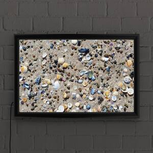 "Shelly Beach" by Beata Czyzowska Framed with LED Light Still Life Nature Wall Art 16 in. x 24 in.