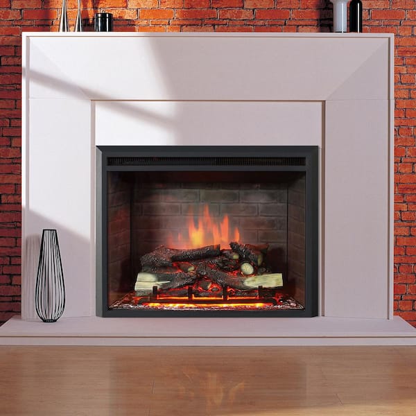 https://images.thdstatic.com/productImages/e7b9924a-6f43-4bfe-9938-97a92f4e0e64/svn/dynasty-fireplaces-electric-fireplace-inserts-ef45d-fgf-c3_600.jpg