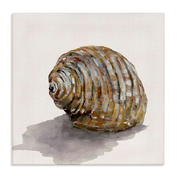 Stupell Industries Curved Seashell on Beige by Jacob Q Unframed Coastal Graphic Art Print 24 in. x 24 in.