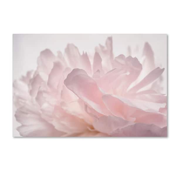 Trademark Fine Art 30 in. x 47 in. "Pink Peony Petals V" by Cora Niele Printed Canvas Wall Art