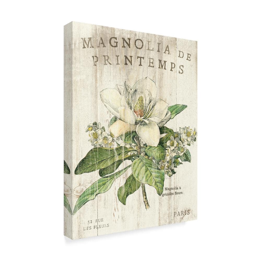 Magnolia De Printemps Floral Canvas Wall Art in Floater Frame