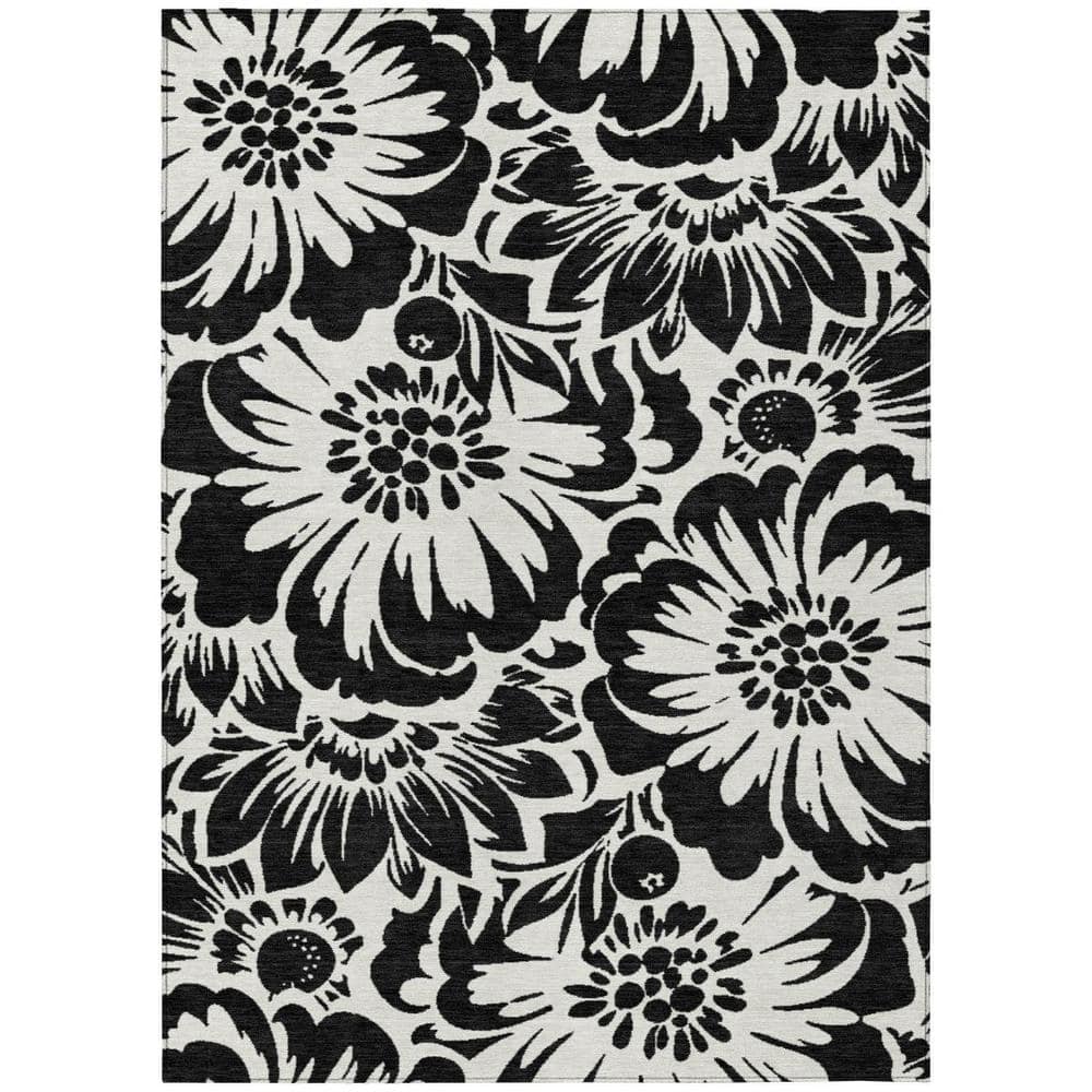Black and Ivory 5 ft. x 8 ft. Woven Floral Rectangle Indoor/Outdoor Area Rug price history on PriceWatchPro