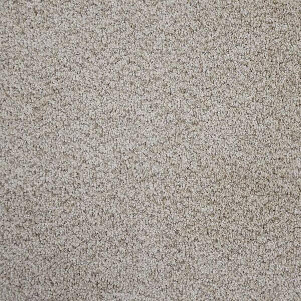 Home Decorators Collection Carpet Sample-Clareview -Color Belgrade Texture 8 in. x 8 in.