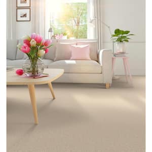 Park Royal - Color Latte Beige 52 oz. Nylon Texture Installed Carpet