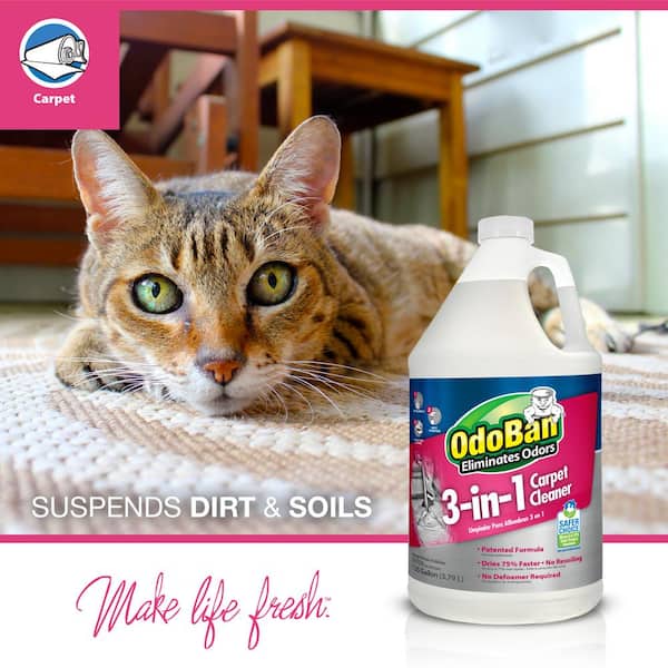 Reviews For Odoban 1 Gal 3 In Carpet Cleaner Concentrated Cleaning Solution Epa Safer Choice Certified Fragrance Free Pg The