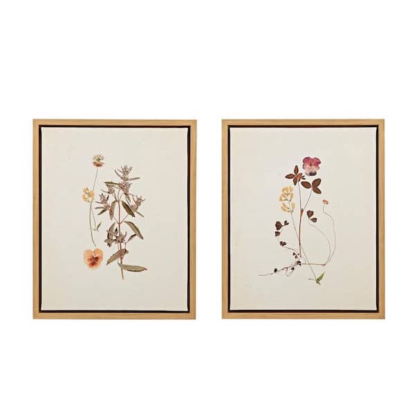 French Herbarium by Devon Ross Framed Art Print 21.84 in. x 17.84 in.