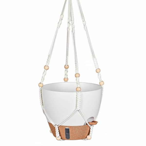 10 in. White Plastic Hanging Basket with Drainage Holes (2-Pack
