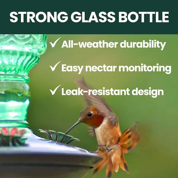 Green Antique Bottle Decorative Glass Hummingbird Feeder - 10 oz. Capacity