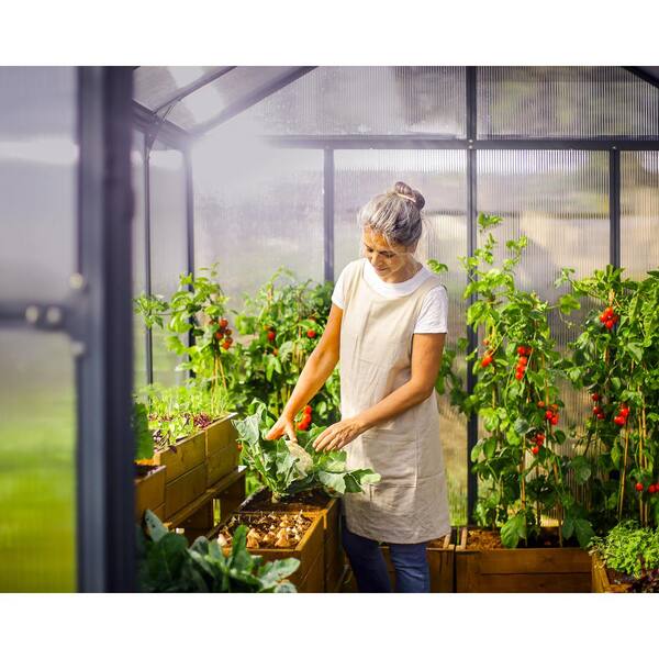 CANOPIA by PALRAM Glory 8 ft. x 8 ft. Gray/Diffused Polycarbonate