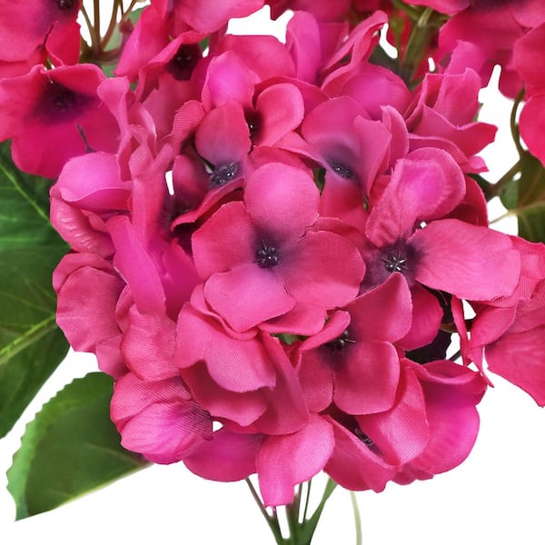 ♡aromantic hydrangea♡ 72536207.jpeg