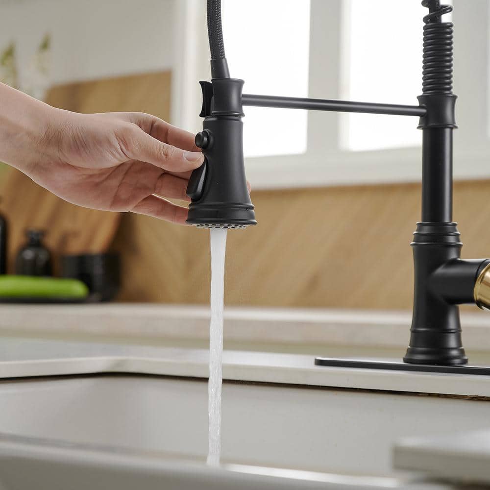 Matte Black and Gold High-Arc Kitchen Faucet with Pull-Out Spray