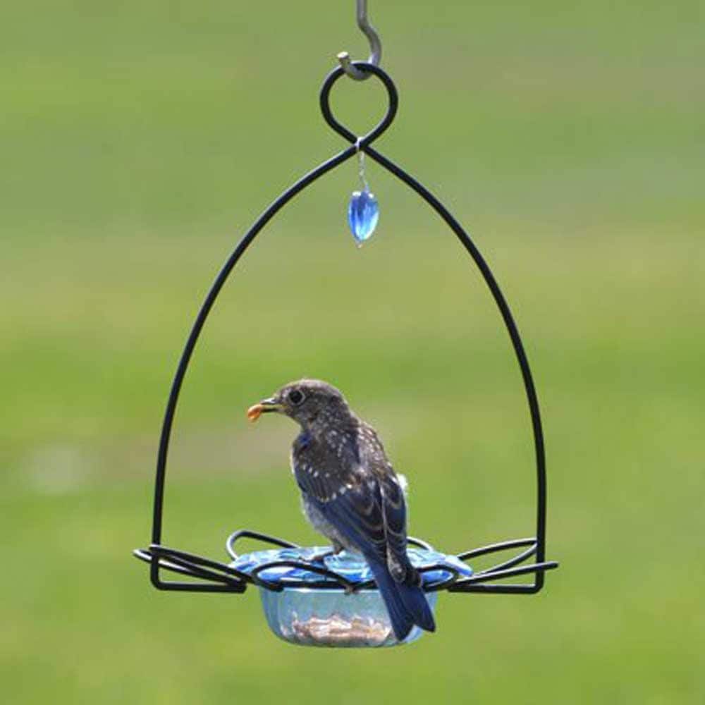 Blue Hanging Metal and Plastic Bird Feeder with Acrylic Cup