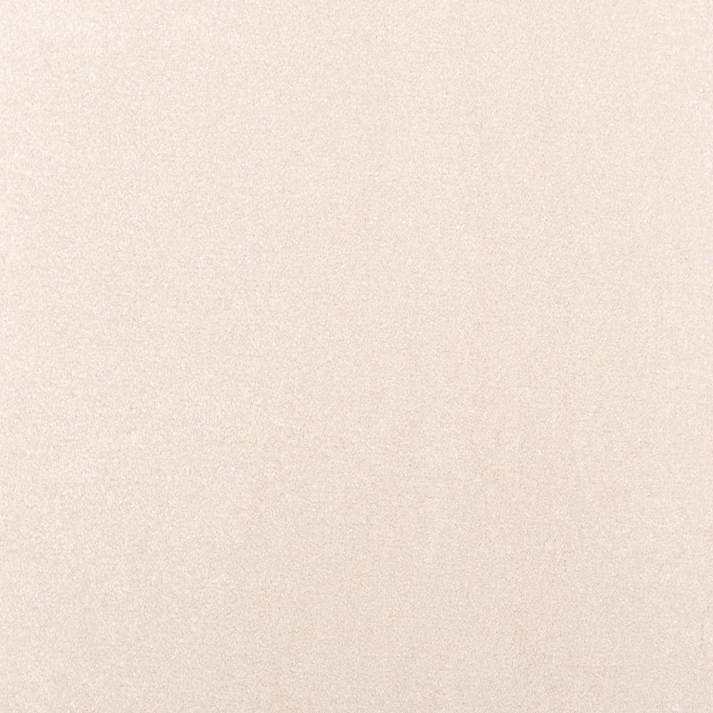 8 in. x 8 in. Texture Carpet Sample - Waking Up II - Color Serene price history on PriceWatchPro