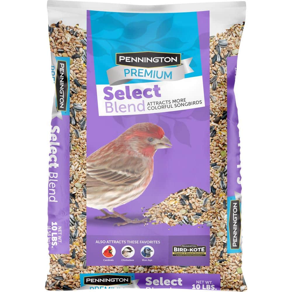 Pennington Premium 10 lbs. Wild Bird Seed Blend The Home Depot
