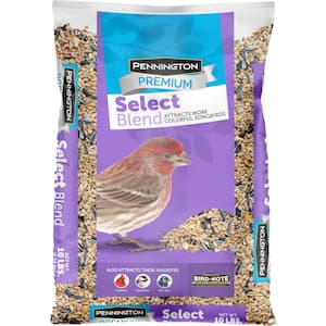 Premium Select 10 lb. Wild Bird Seed Food