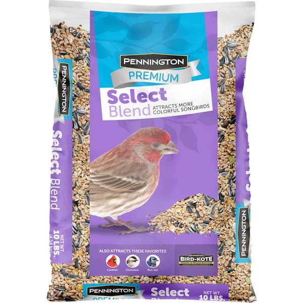 Pennington Premium Select 10 lb. Wild Bird Seed Food 100542050 - The Home  Depot