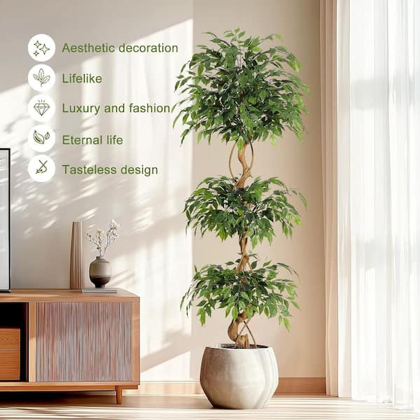 indoor bonsai plants for sale Hedge Sageretia Bonsai ( Sageretia theezans ) for Sale main image 0