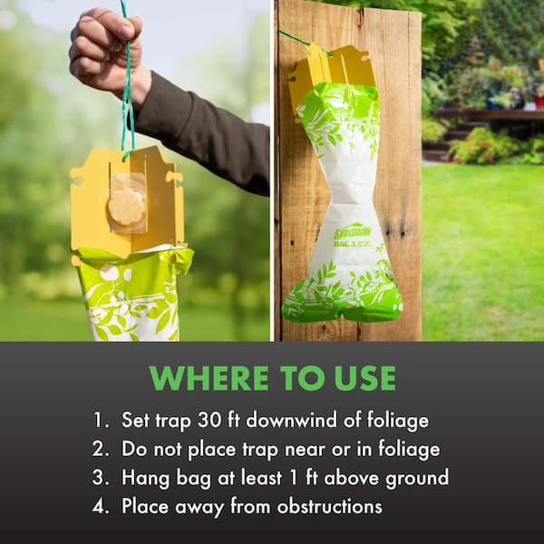 Spectracide Bag-A-Bug Japanese Beetle Trap Replacement Lure Refill