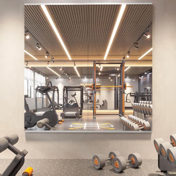 Swafrrt 2 Pieces 24 in. W x 63 in. H Rectangle Frameless Wall-Mounted HD Gym Mirror Dance Mirror Vanity Mirror