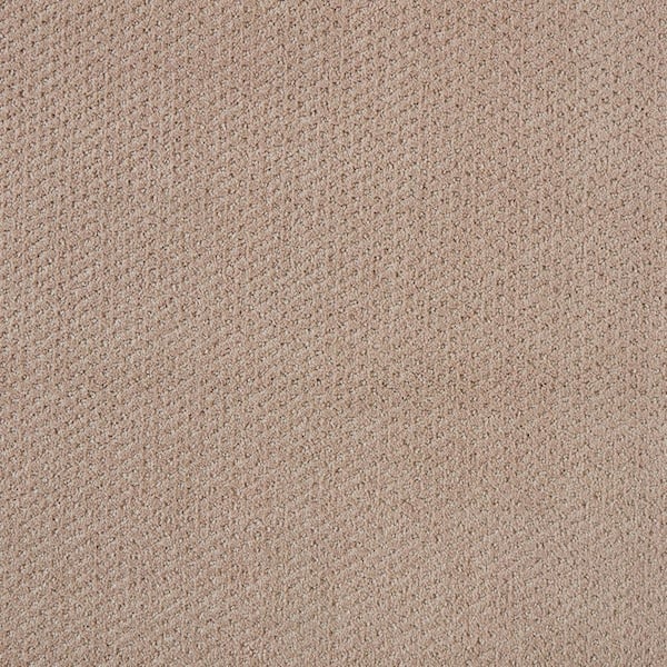 Pretty Penny  - Rustic - Beige 50 oz. Triexta Pattern Installed Carpet