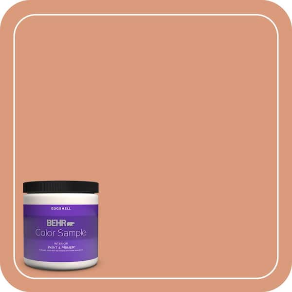 BEHR PREMIUM PLUS 8 oz. #MQ1-27 Dazzle and Delight Eggshell Enamel Interior Paint & Primer Color Sample