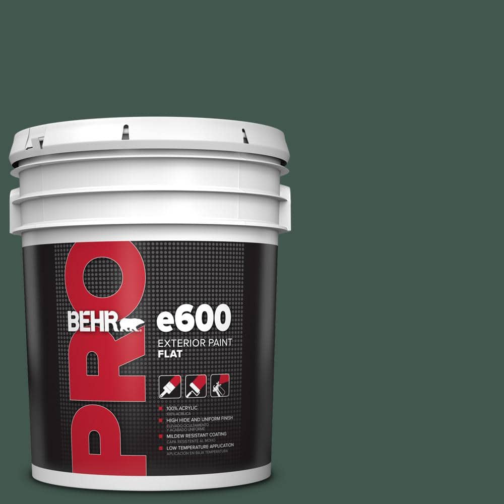 5 gal. #BXC-33 Jolly Green Flat Exterior Paint price history on PriceWatchPro
