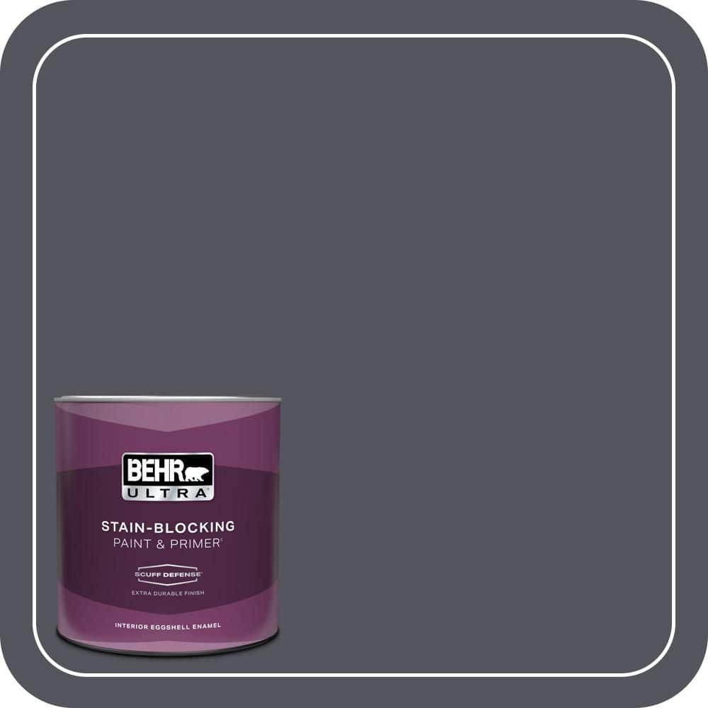1 qt. #N540-7 Coal Mine Extra Durable Eggshell Enamel Interior Paint & Primer price history on PriceWatchPro