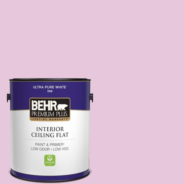 1 gal. #M120-2 Kiss Good Night Ceiling Flat Interior Paint
