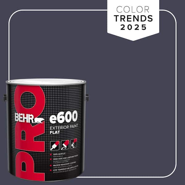 1 gal. #PPU15-19 Black Sapphire Flat Exterior Paint