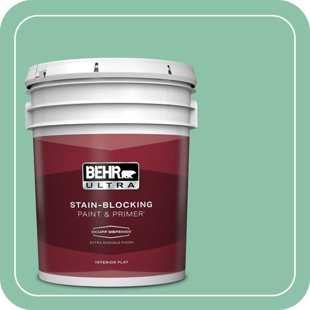 5 gal. Home Decorators Collection #HDC-WR14-8 Spearmint Frosting Extra Durable Flat Interior Paint & Primer price history on PriceWatchPro