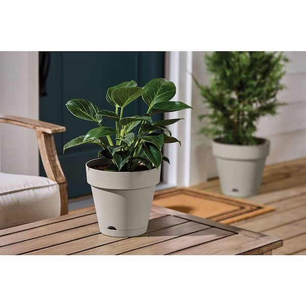Vivienne Medium Gray Plastic Round Self-Watering Planter with Attached Saucer (8 in. L x 8 in. W x 7.3 in. H)