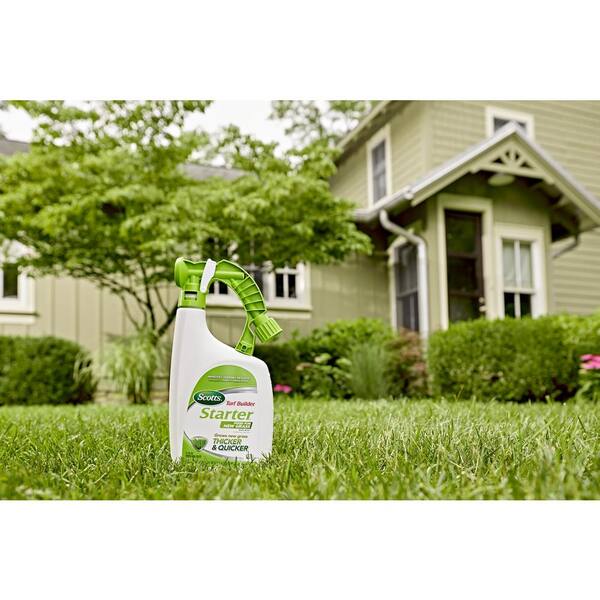 Spray Grass Green Home Depot Captions Ideas