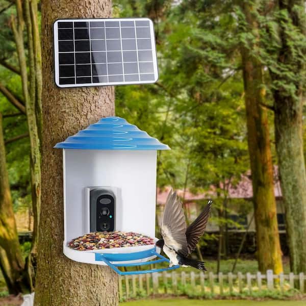 Whiterhino Smart Bird Feeder with Camera, Green Bird Buddy with Solar Panel  for Outside Watching 